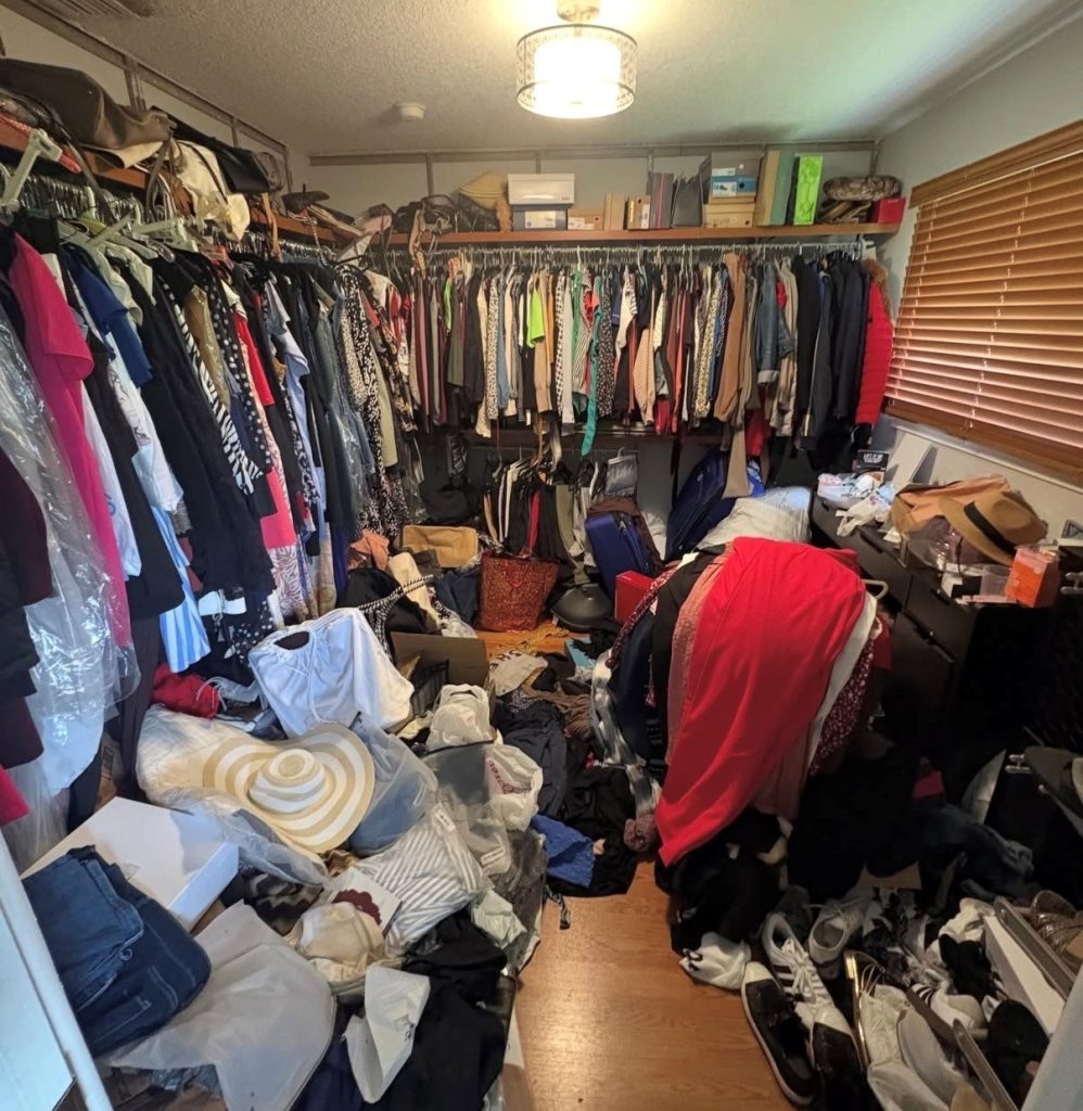 before closet organization Amazon products